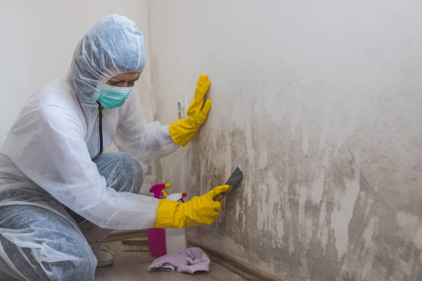Best Post-Flood Mold Remediation in Waterford, CA