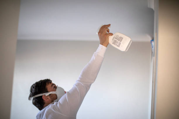 Best Crawl Space Mold Remediation in Waterford, CA