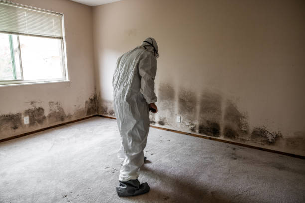 Waterford, CA Mold Remediation Company